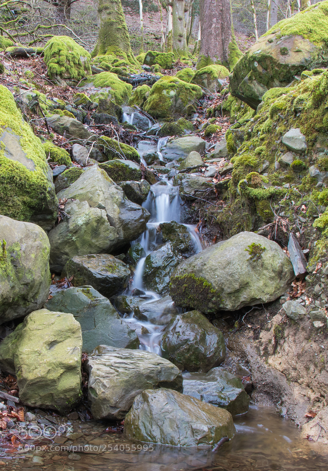 Canon EOS 80D sample photo. Windermere waterfall photography
