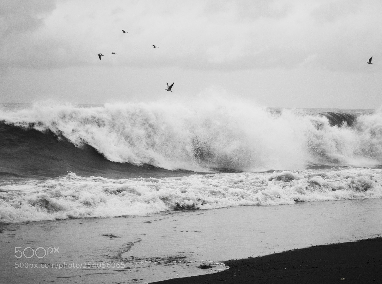 Nikon D3100 sample photo. Storm batumi black sea photography