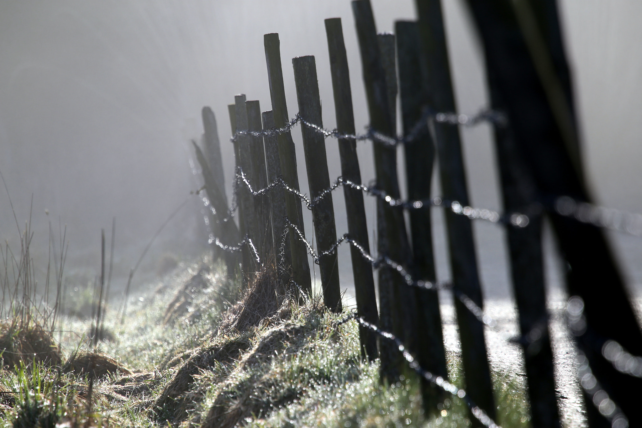 Canon EF 70-200mm F4L IS USM sample photo. I took a fence photography