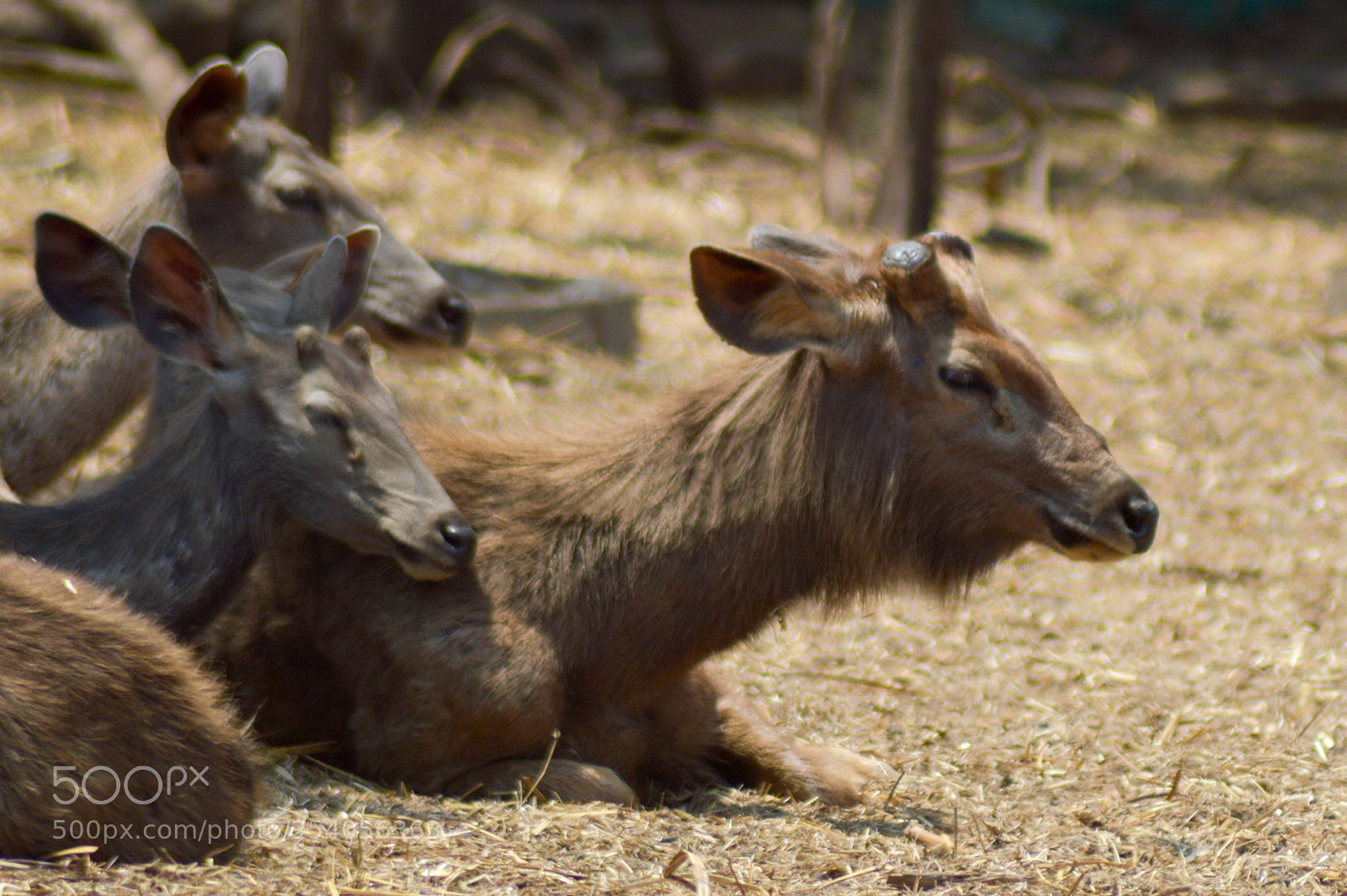 Nikon D3200 sample photo. Untitled photography