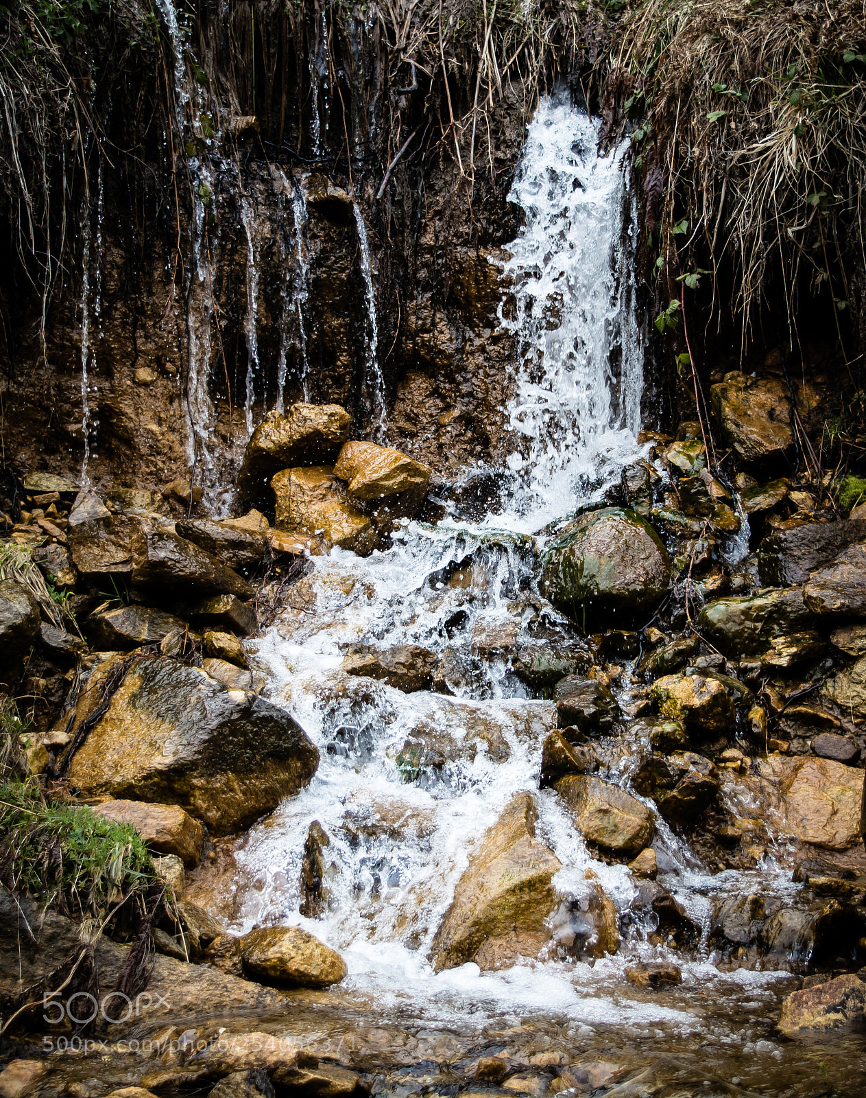 Nikon D5200 sample photo. Spring stream falls photography
