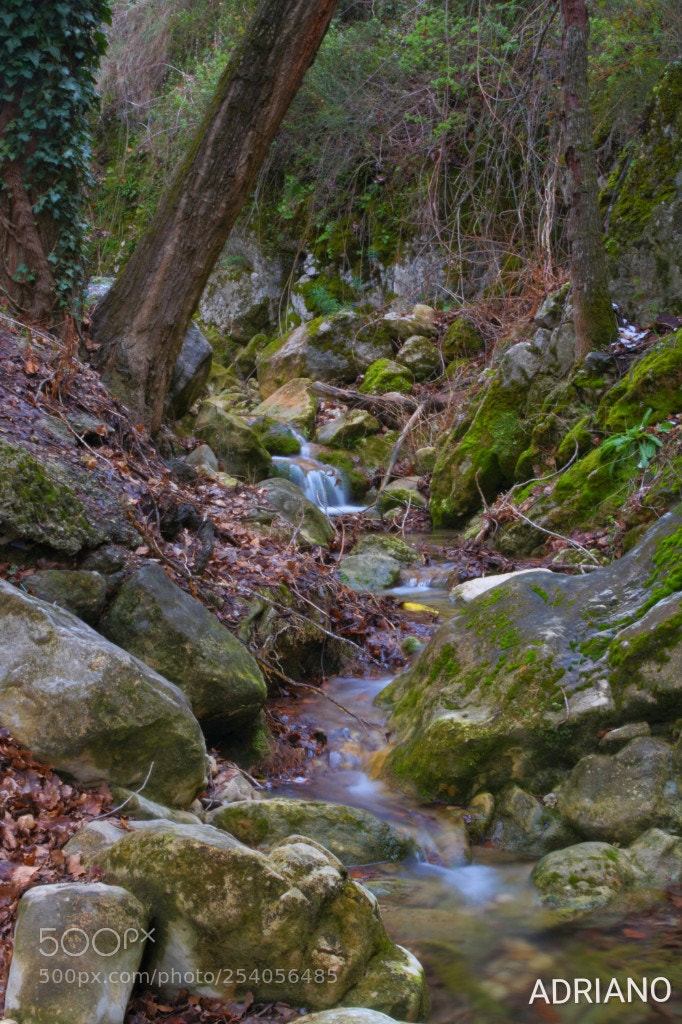 Nikon D7100 sample photo. Untitled photography