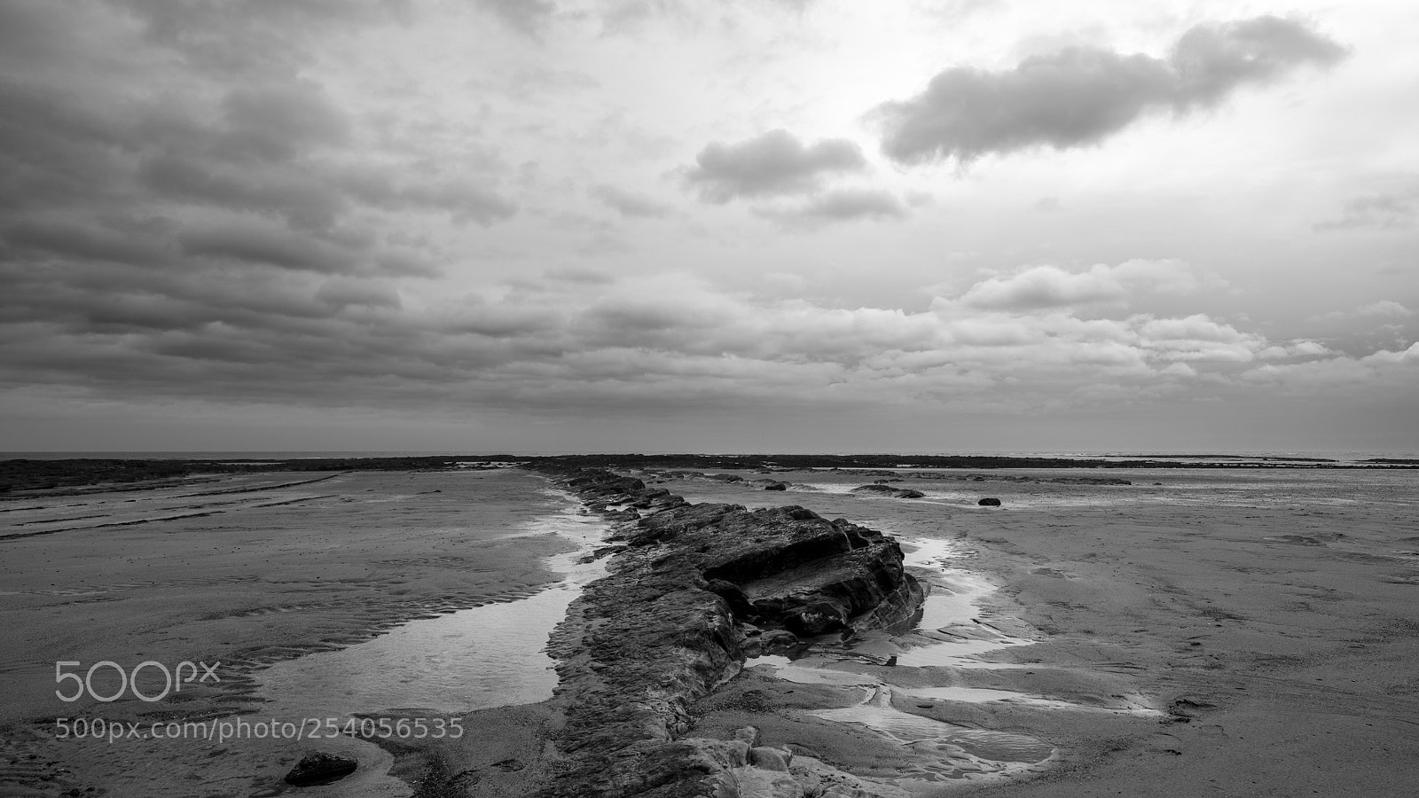 Fujifilm GFX 50S sample photo. Low hauxley beach photography