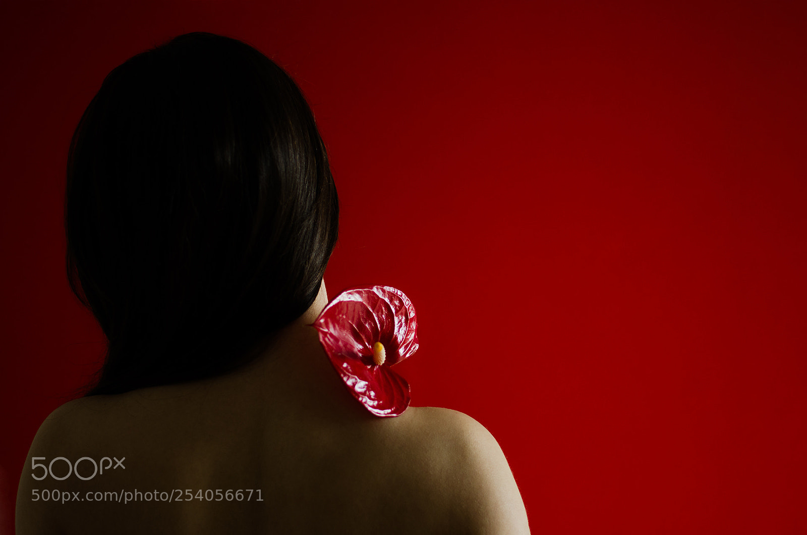 Nikon D7000 sample photo. Anthurium photography