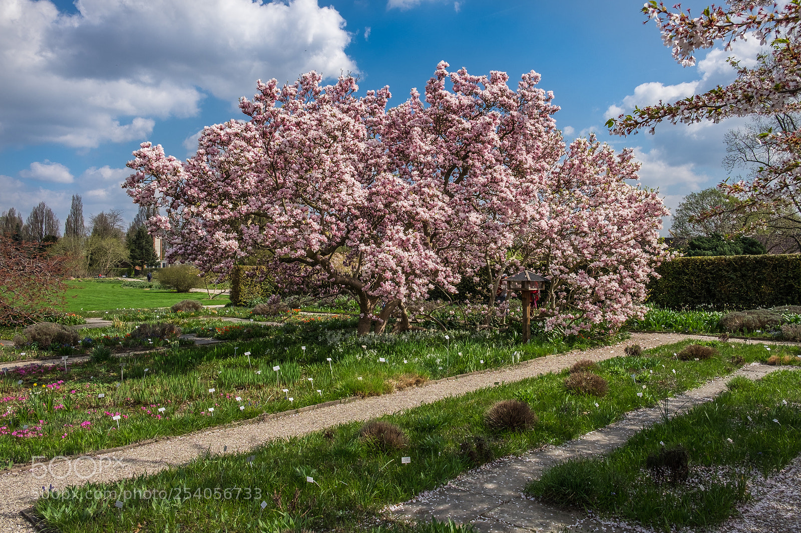 Fujifilm X-T1 sample photo. Frühling (spring) photography