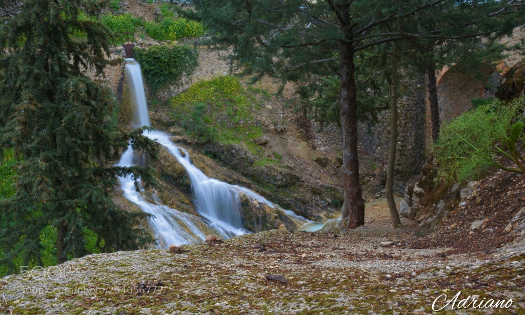 Nikon D7100 sample photo. Untitled photography