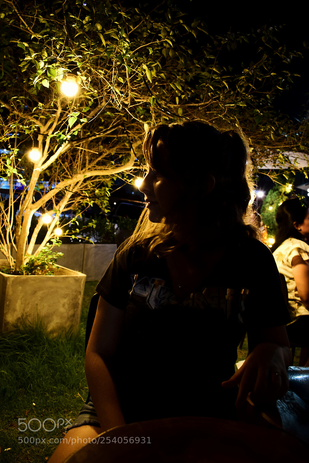 Nikon D5300 sample photo. Untitled photography