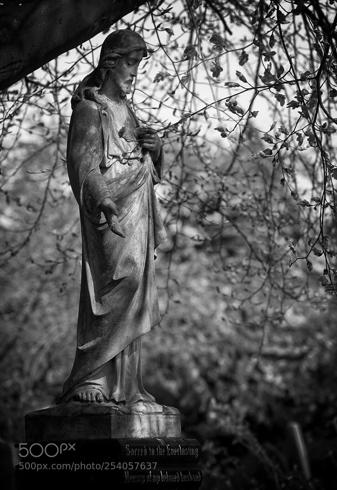 Sony Cyber-shot DSC-RX10 III sample photo. A statue photography