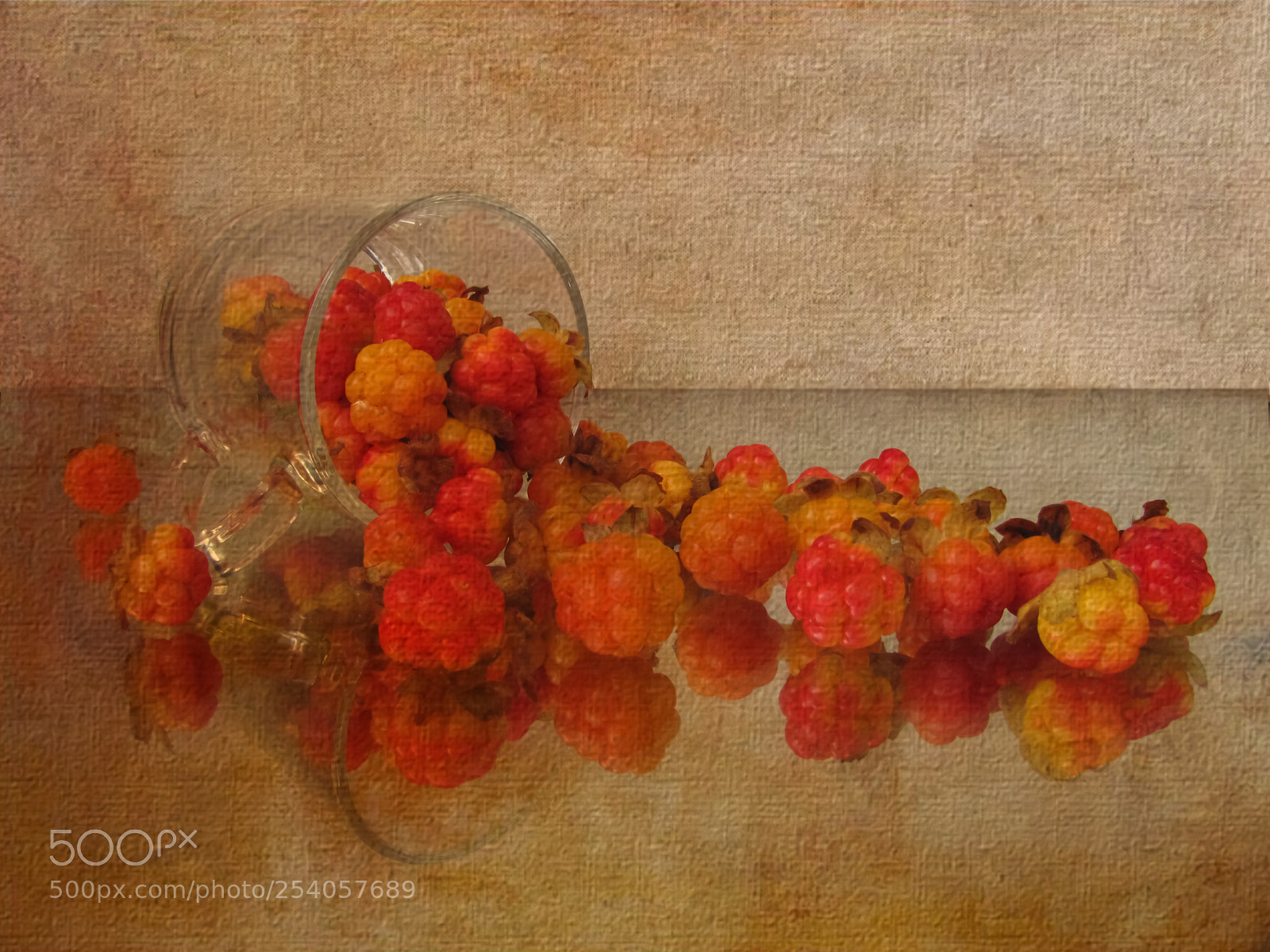 Canon PowerShot SX20 IS sample photo. Still life with cloudberry photography