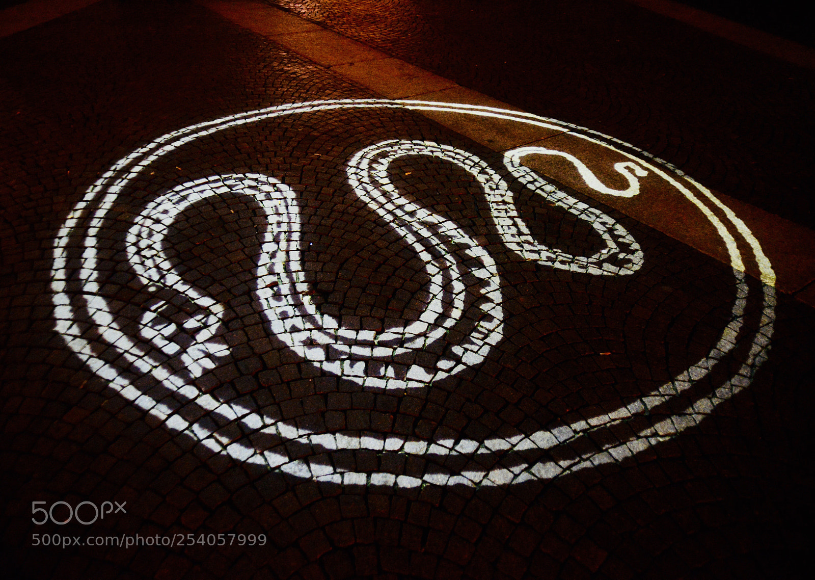 Nikon D600 sample photo. Snake light  photography