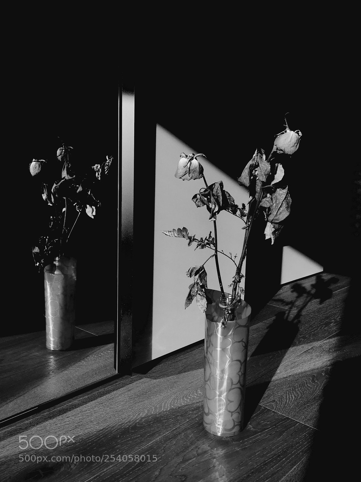 Apple iPhone SE sample photo. Rose photography