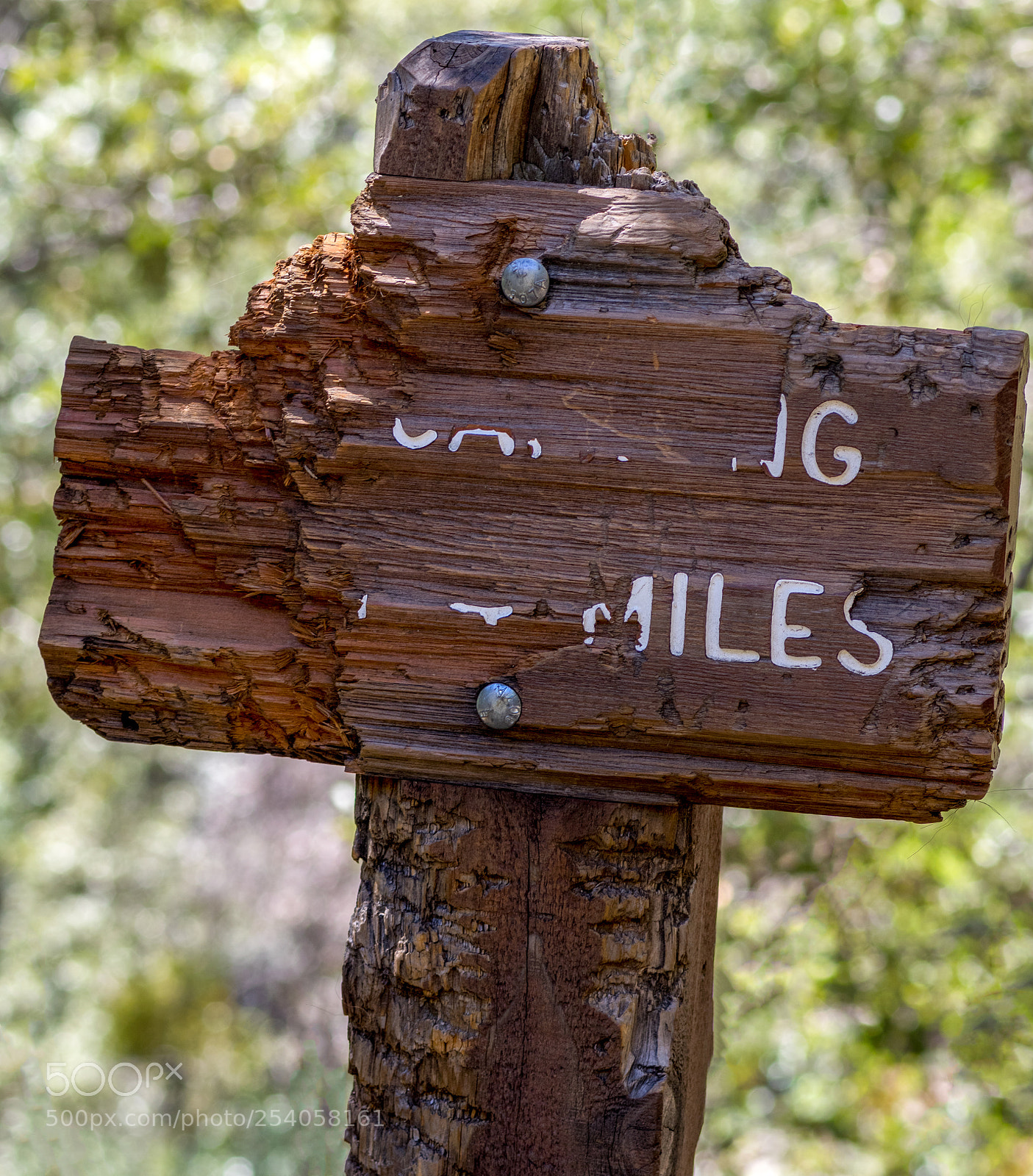 Pentax K-3 II sample photo. Hetch hetchy sign photography