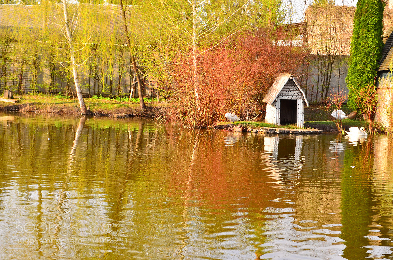 Nikon D5100 sample photo. Spring landscape photography
