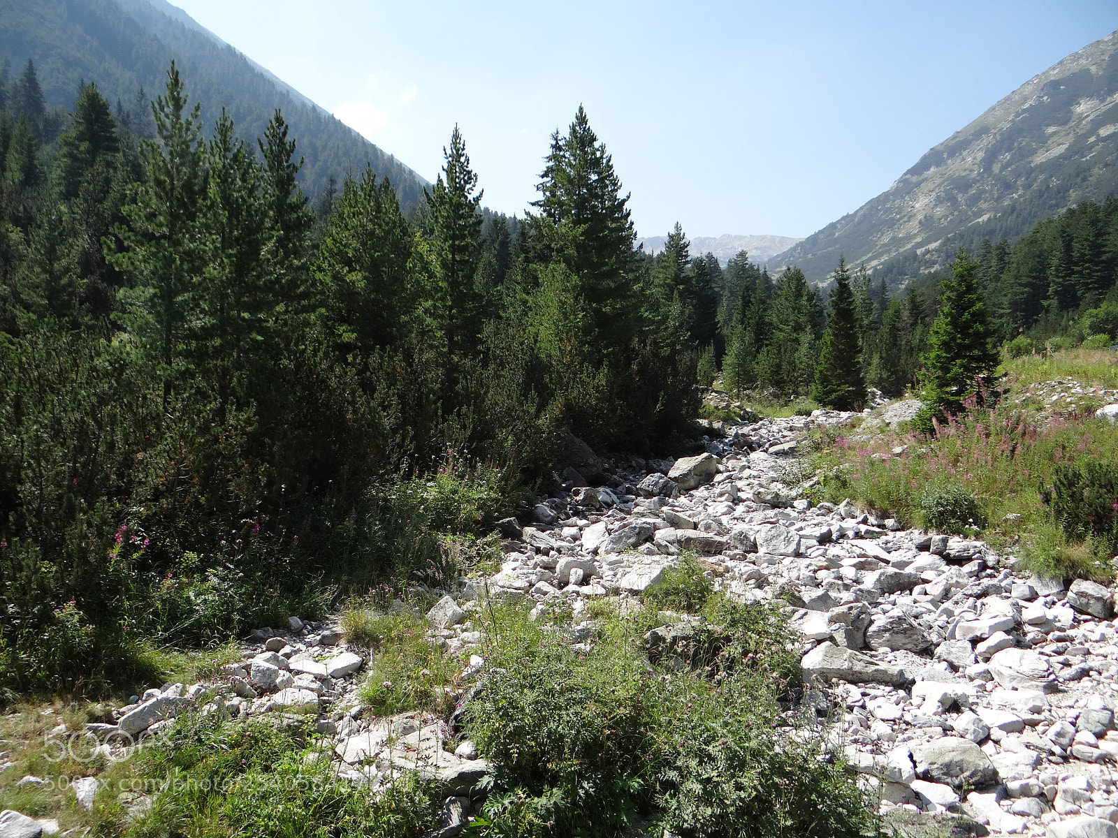 Sony DSC-HX200V sample photo. Pirin mountain photography