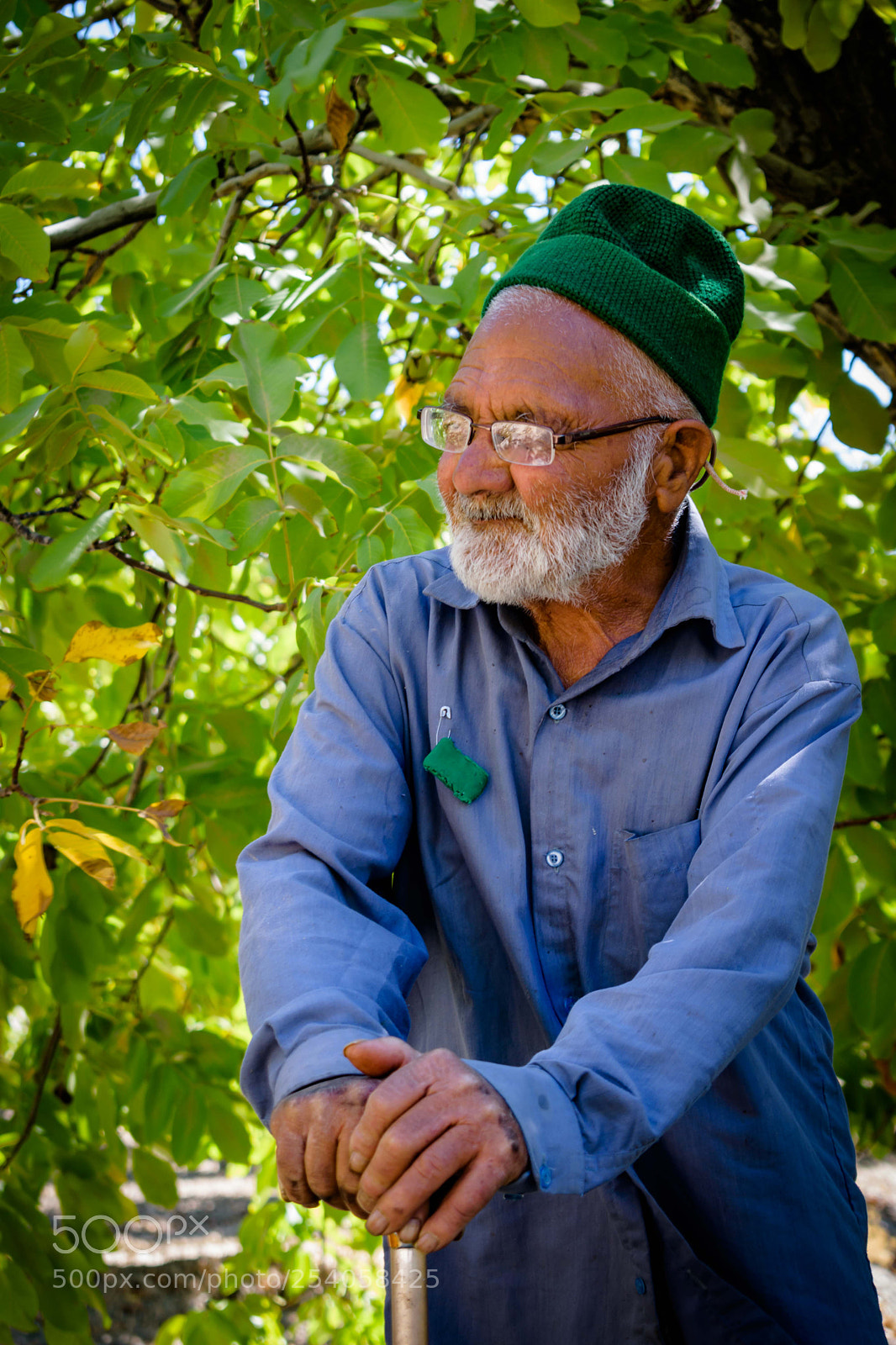 Nikon D3300 sample photo. My grandpa... photography