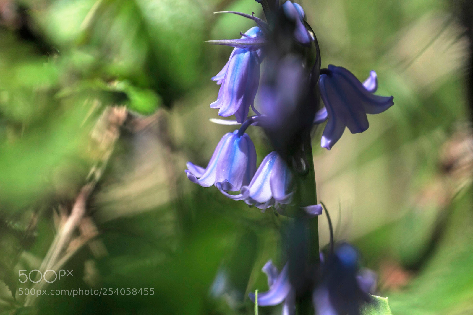 Canon EOS 60D sample photo. Journée bleue - 1 - photography
