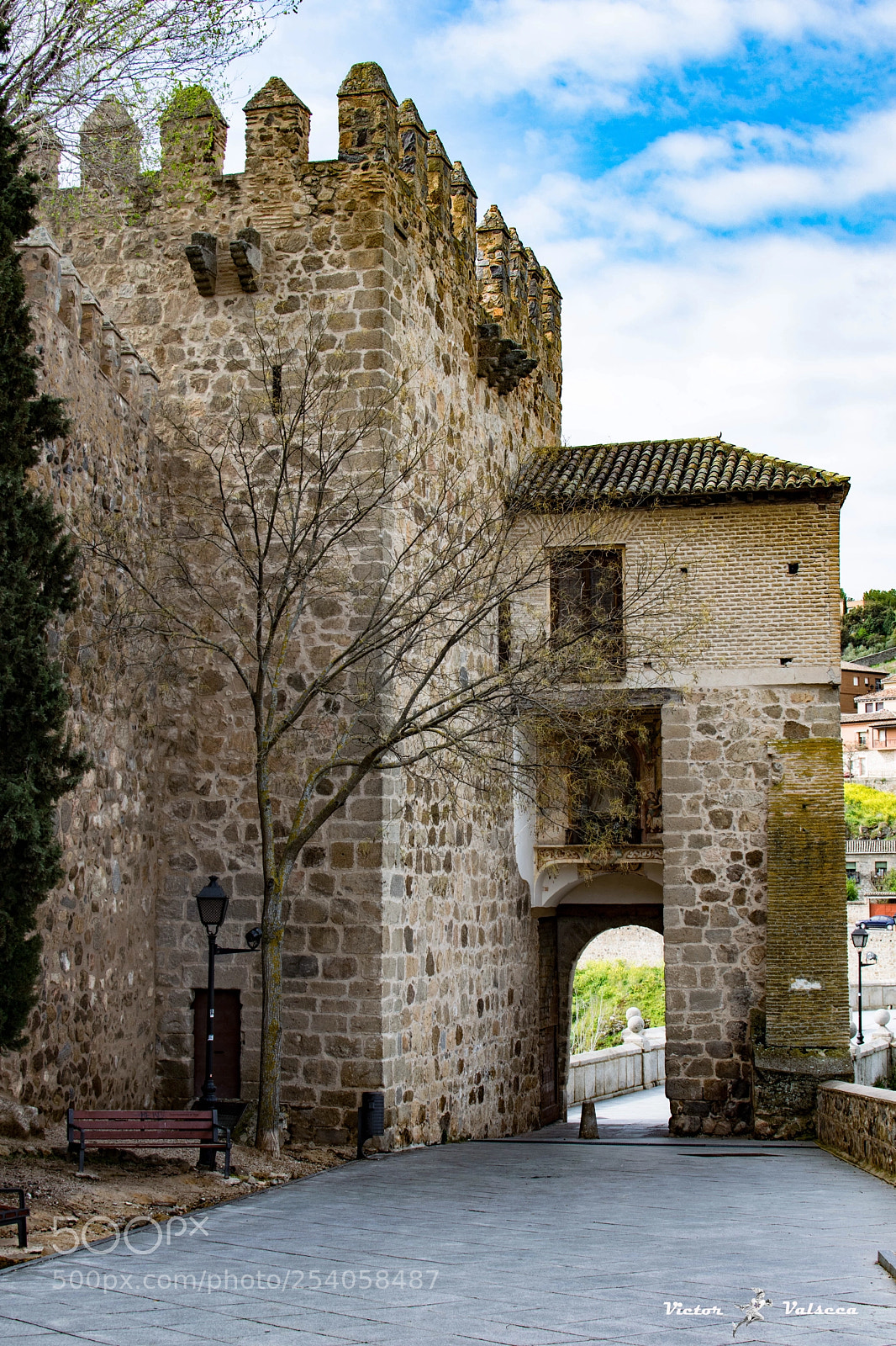 Nikon D5300 sample photo. Puente de san mart photography