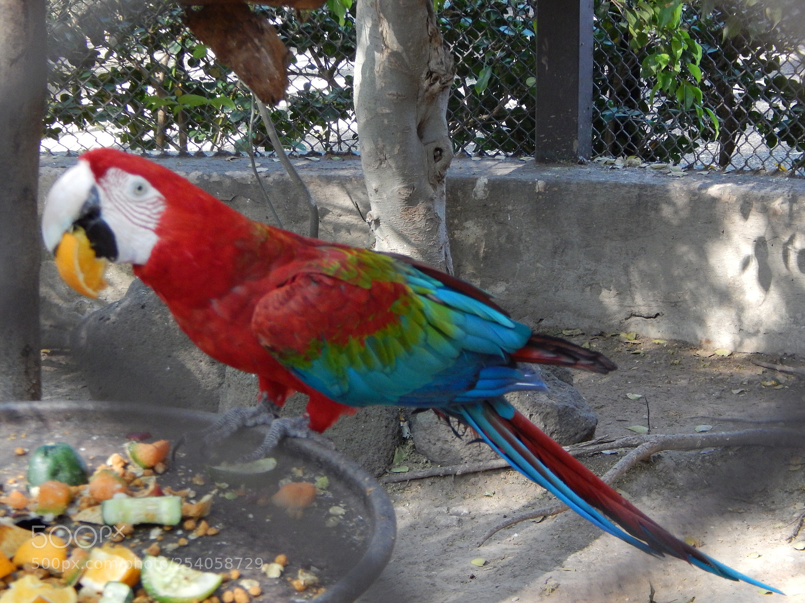 Nikon Coolpix L820 sample photo. ¡hi! photography
