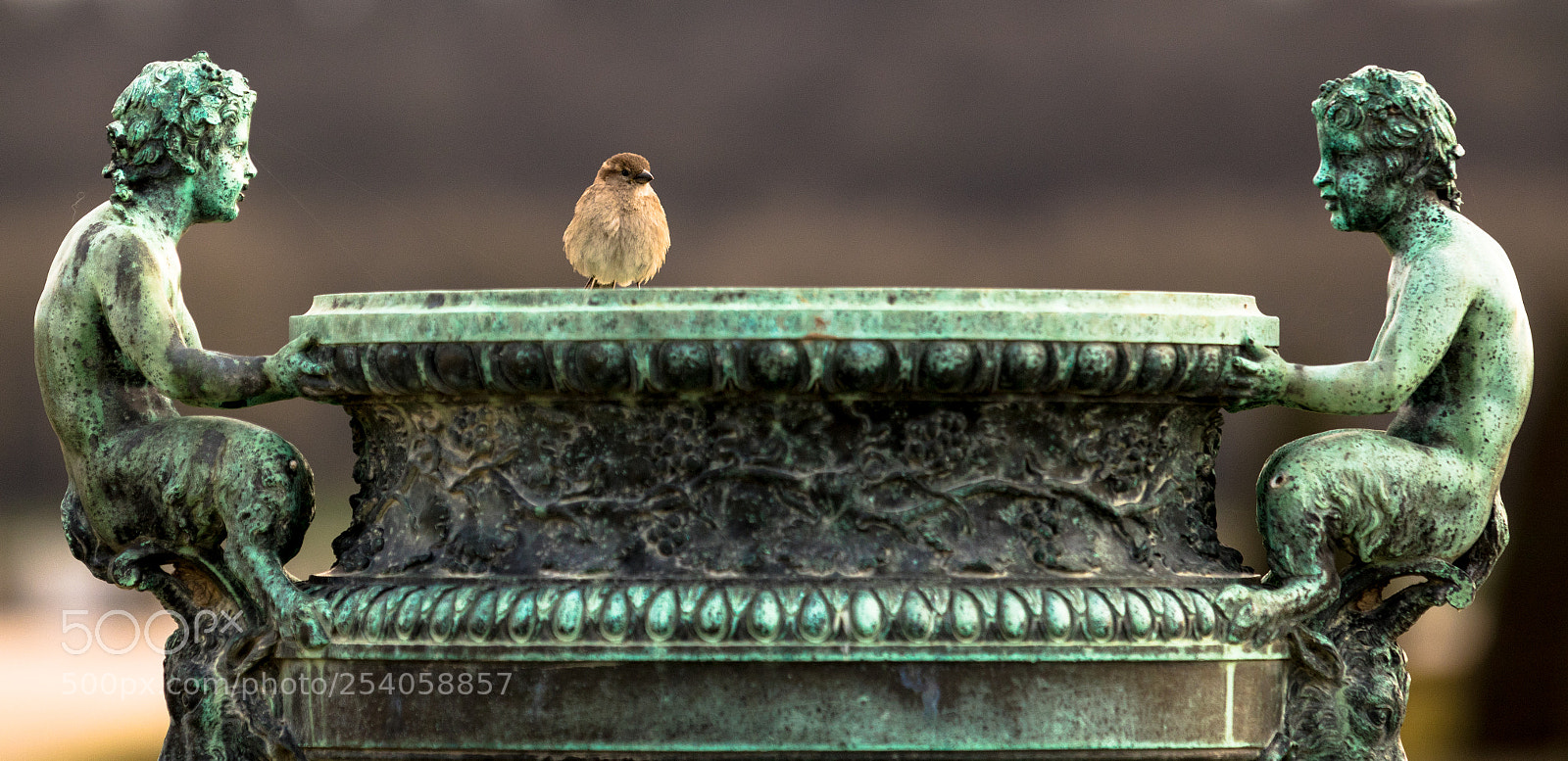Canon EOS 750D (EOS Rebel T6i / EOS Kiss X8i) sample photo. Versailles palace garden photography