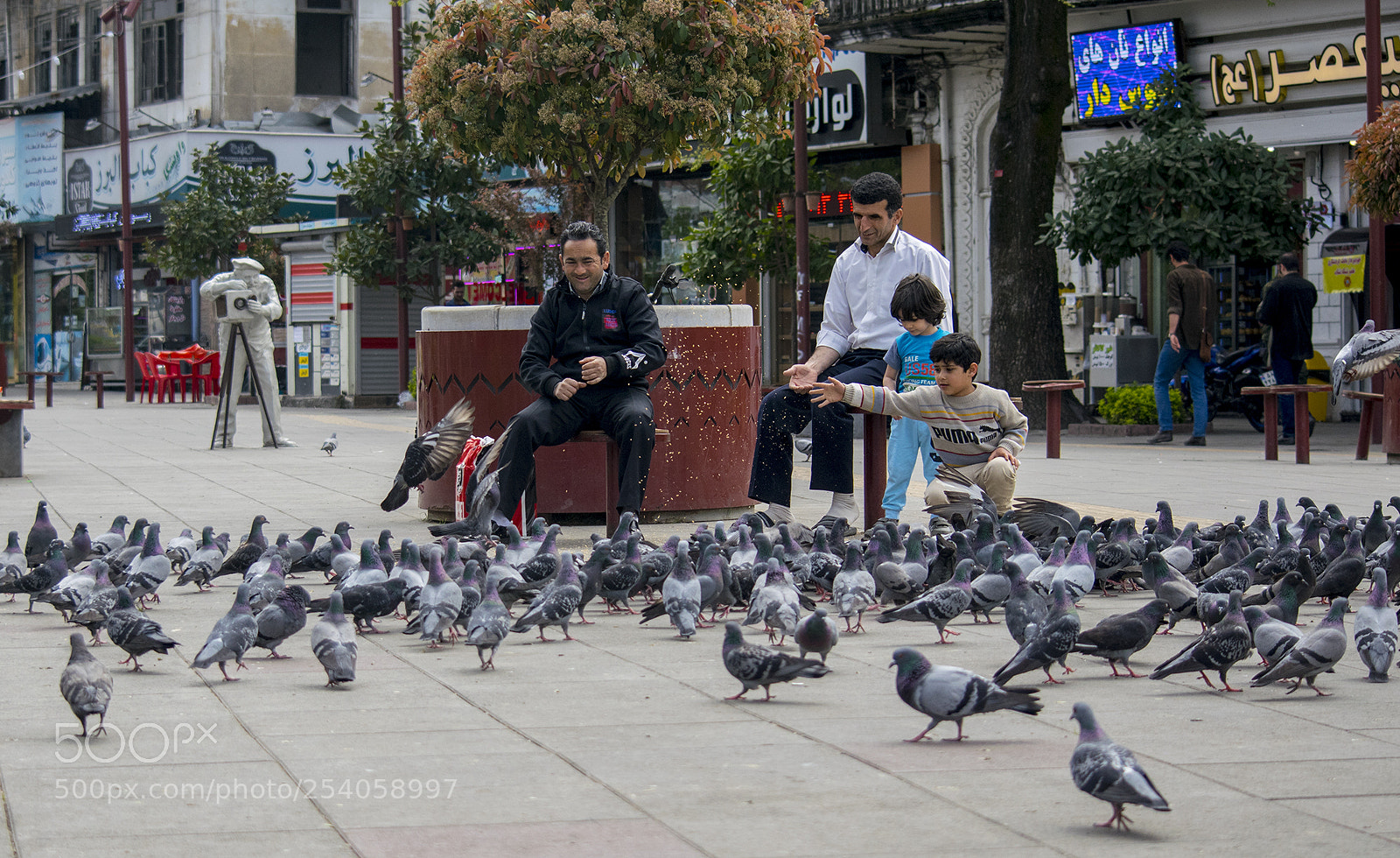 Nikon D3300 sample photo. People and birds photography