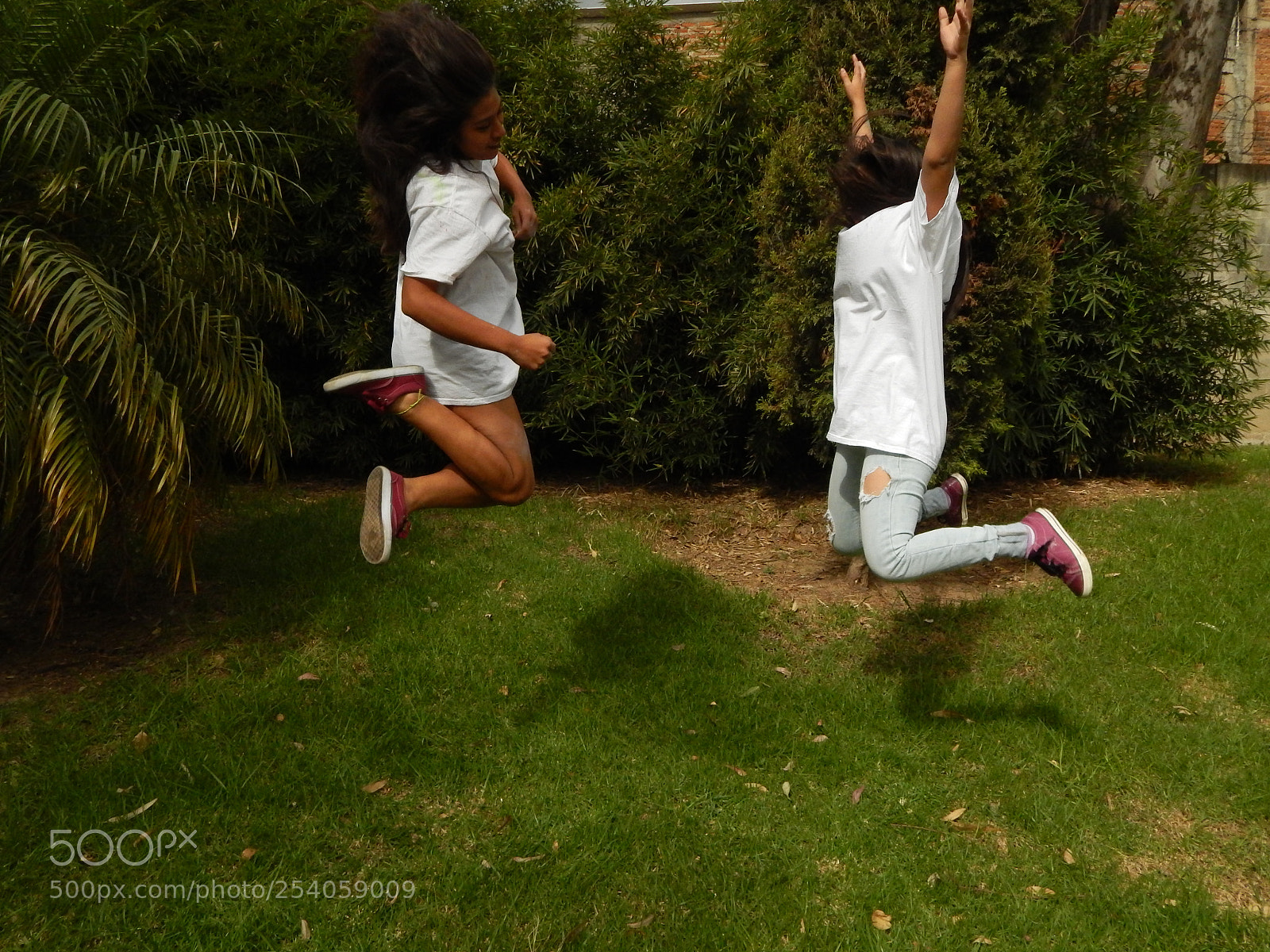 Nikon Coolpix L820 sample photo. Jump photography