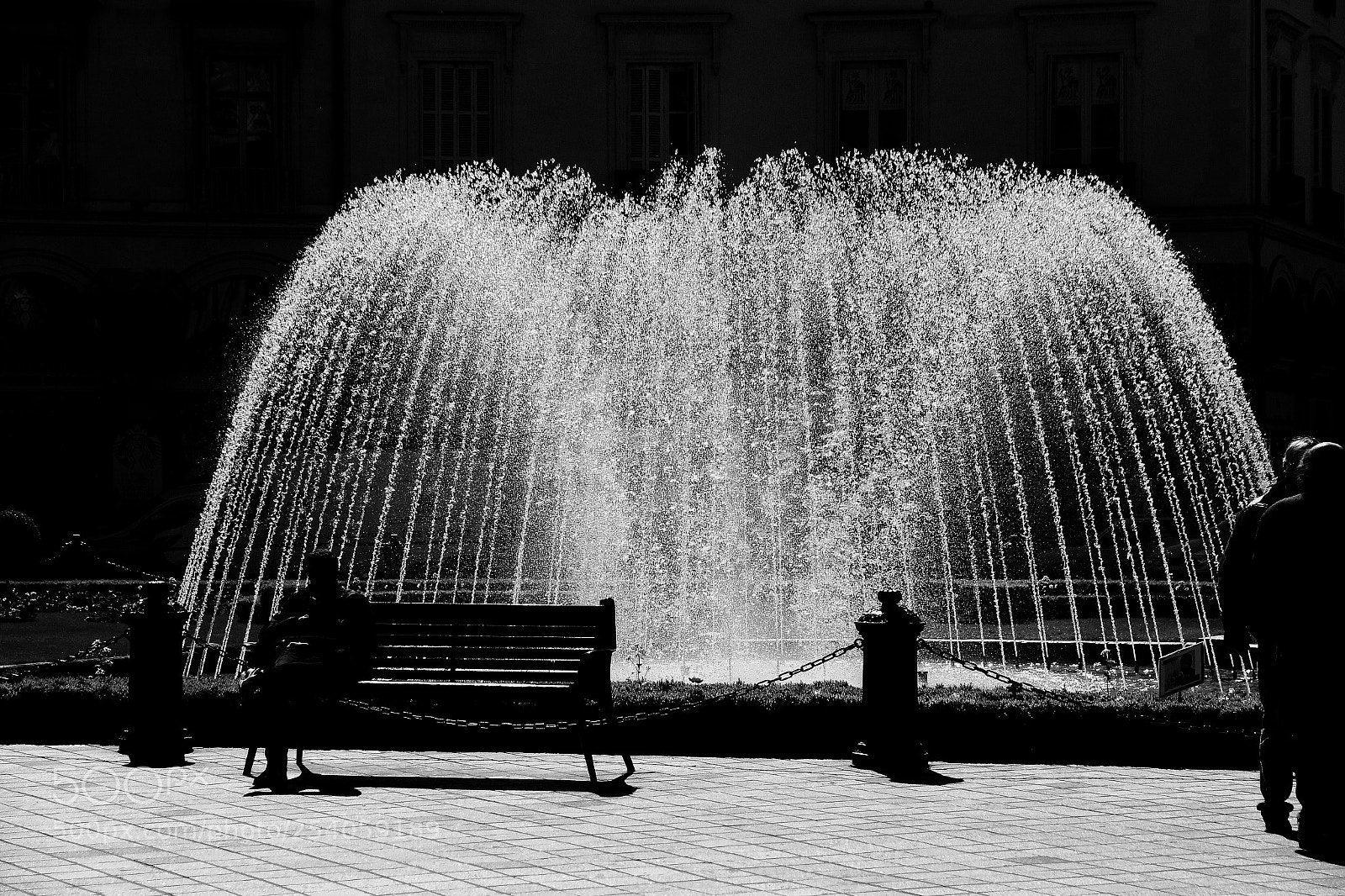 Canon EOS 70D sample photo. Untitled photography