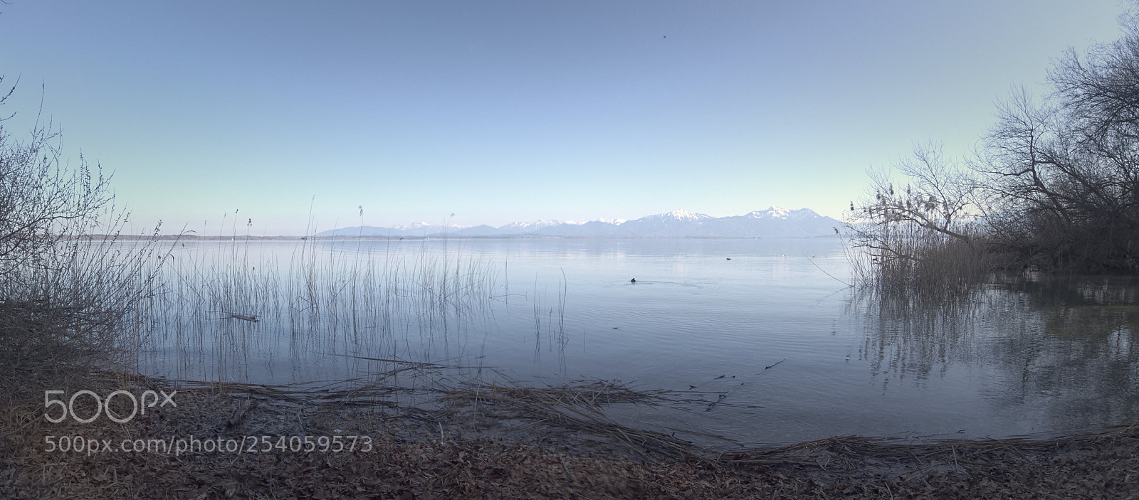Olympus PEN E-PL5 sample photo. Moody blues photography