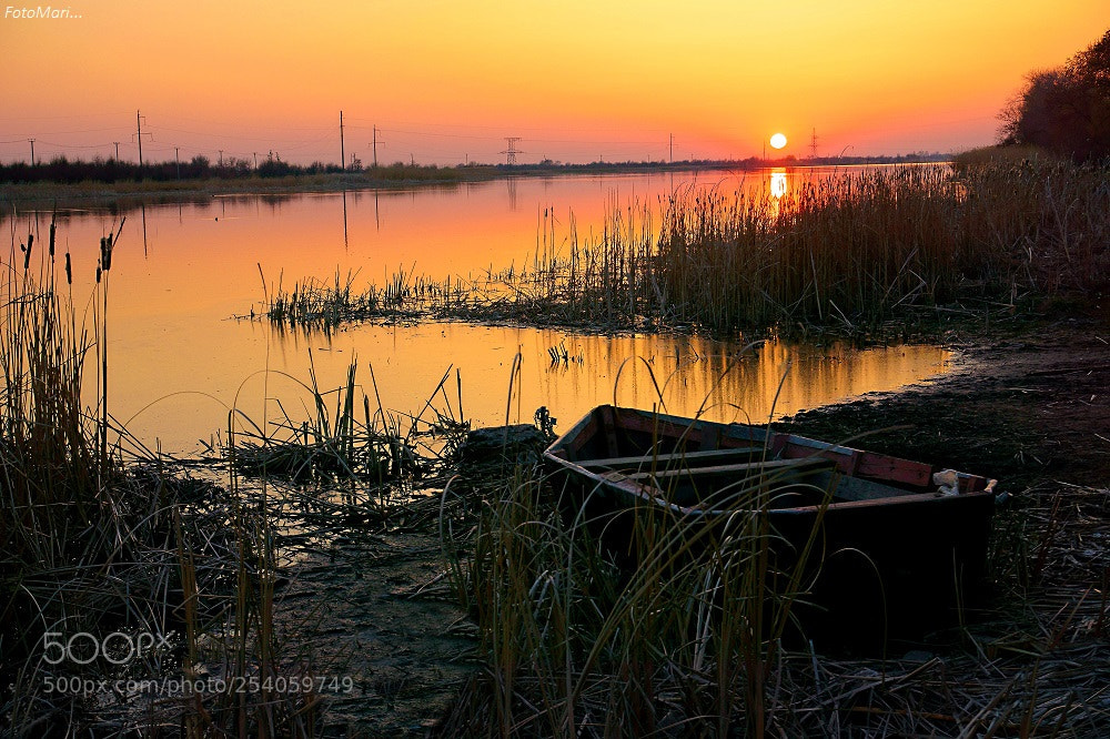 Sony a6000 sample photo. копия photography