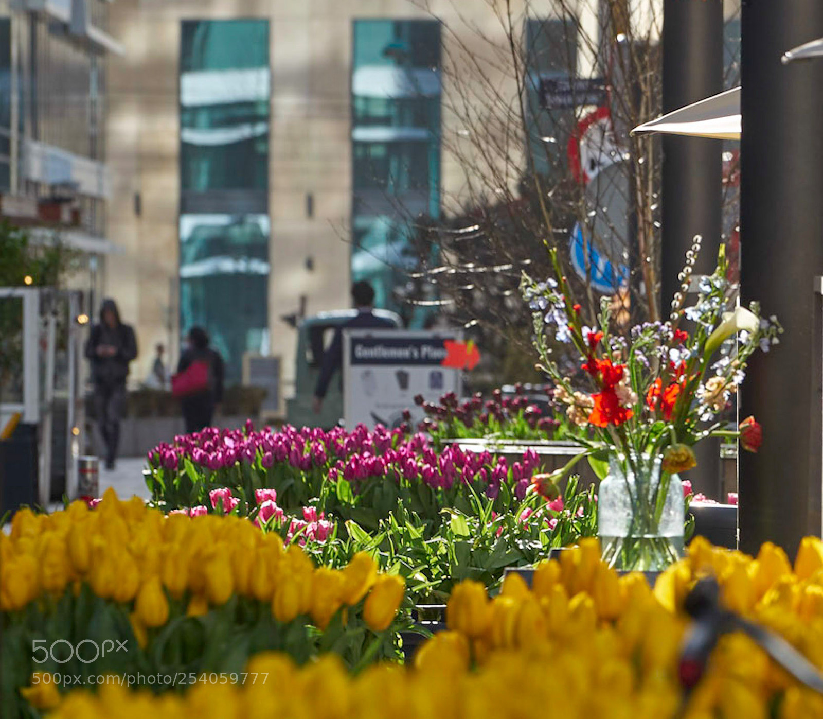 Sony a7 II sample photo. Flowers for de zuidas photography