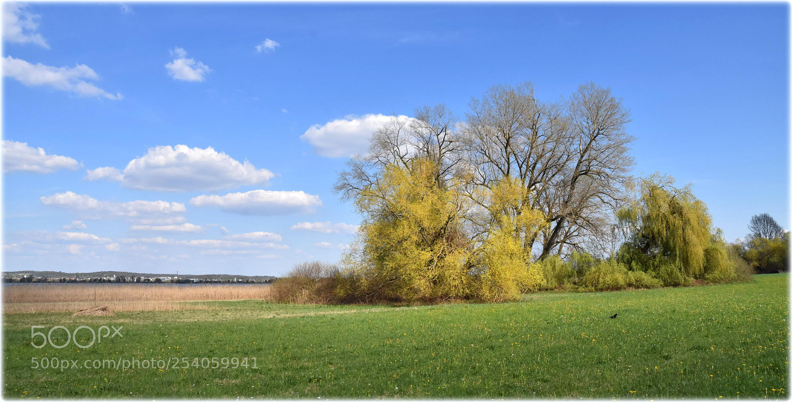 Nikon D7200 sample photo. "untersee-landscape" photography