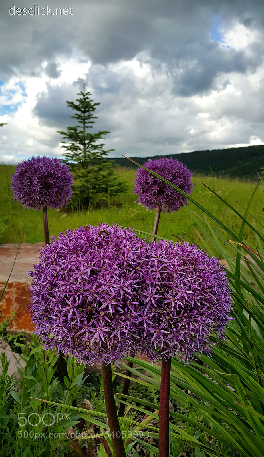 Samsung Galaxy Note4 sample photo. Form & function, naturally :) photography