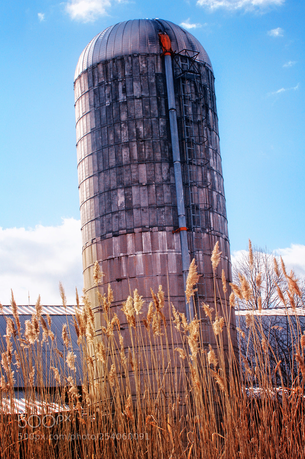 Canon EOS 7D sample photo. Silo not so low photography