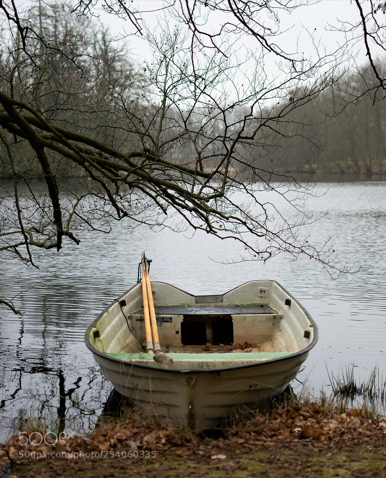 Nikon D3300 sample photo. The boat... photography
