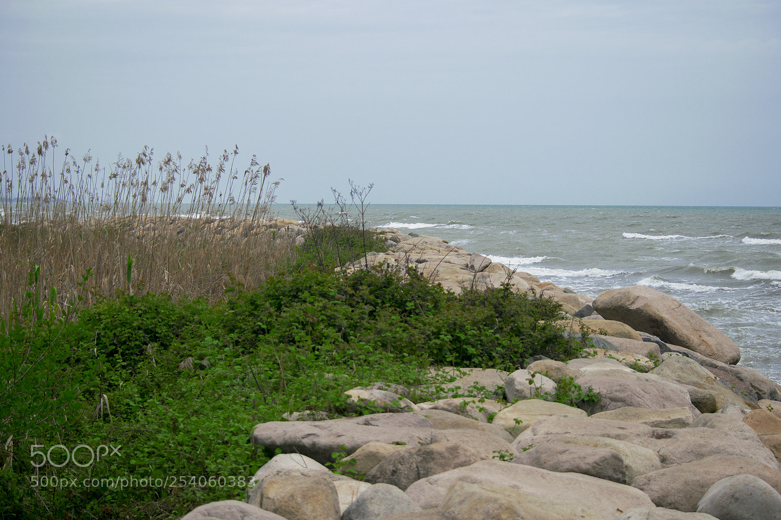 Nikon D3300 sample photo. Untitled photography
