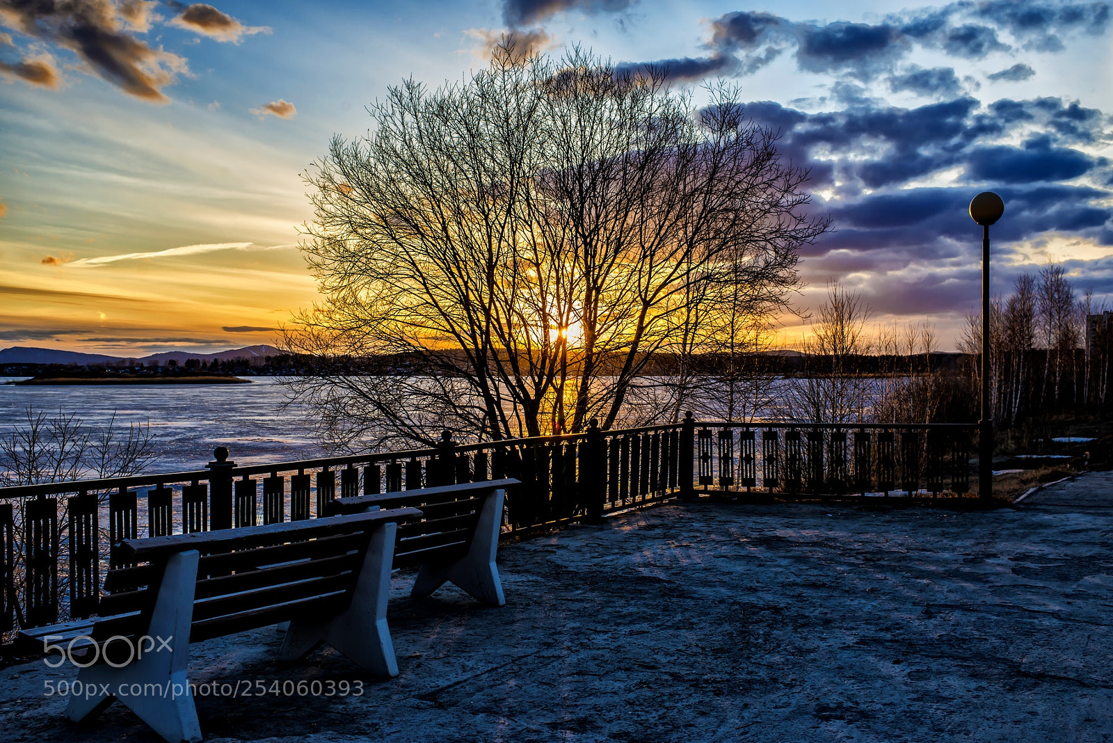 Nikon D800 sample photo. Spring evening at the photography