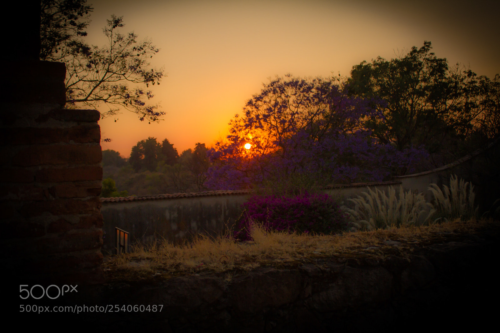 Canon EOS 7D sample photo. Untitled photography