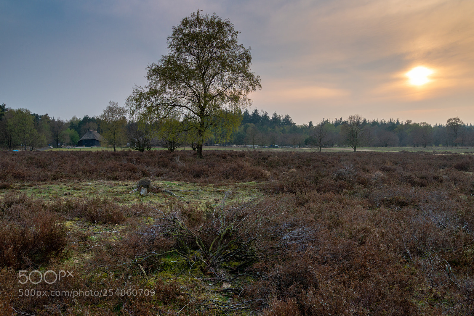 Nikon D610 sample photo. Schaapskooi ermelo - drie photography