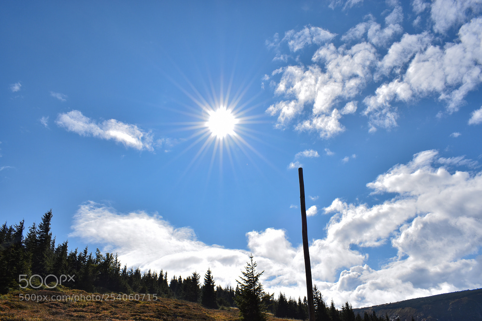 Nikon D5500 sample photo. Sun photography