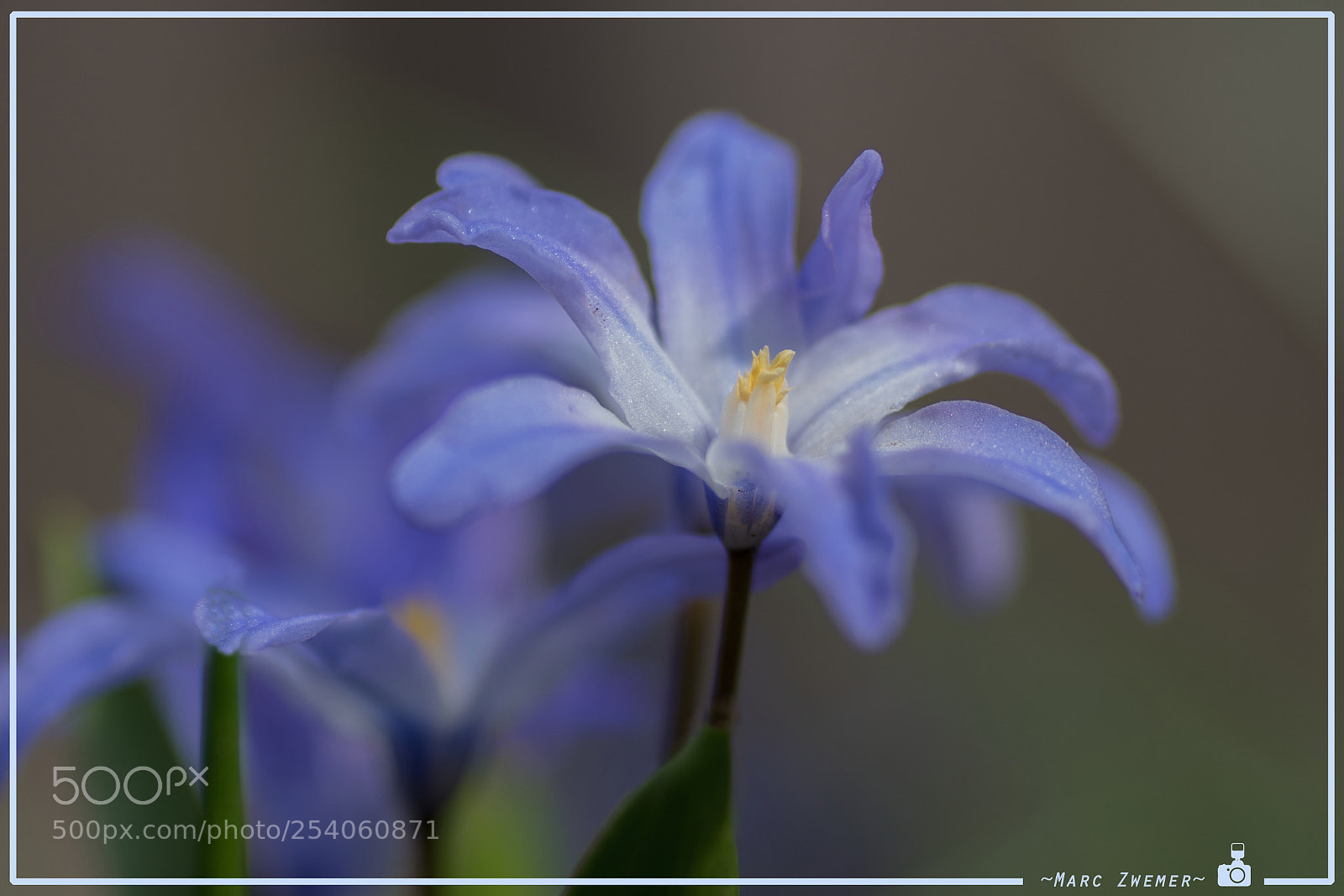 Sony ILCA-77M2 sample photo. Simply and beautiful photography