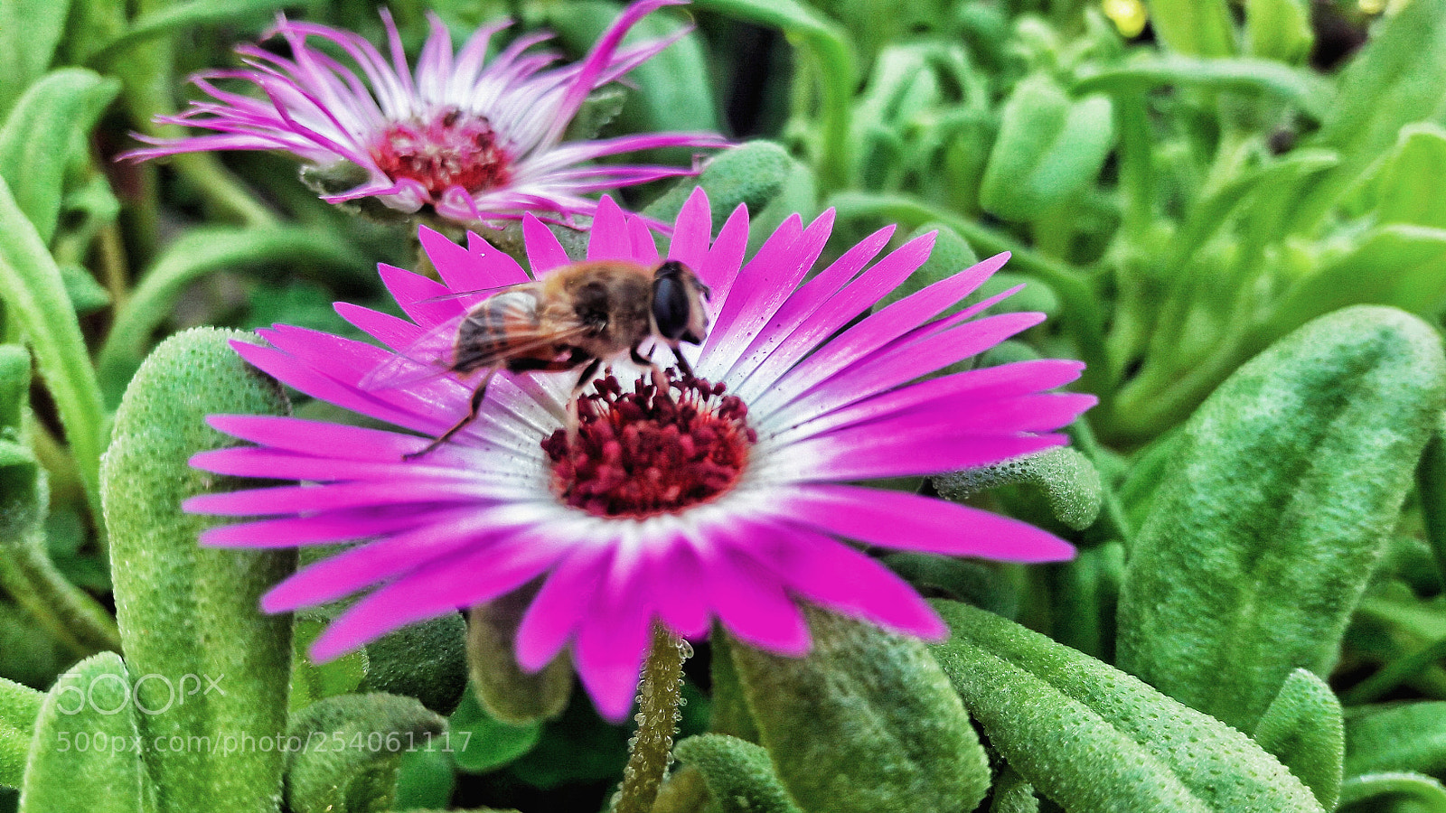 Samsung Galaxy J7 sample photo. Nature photography