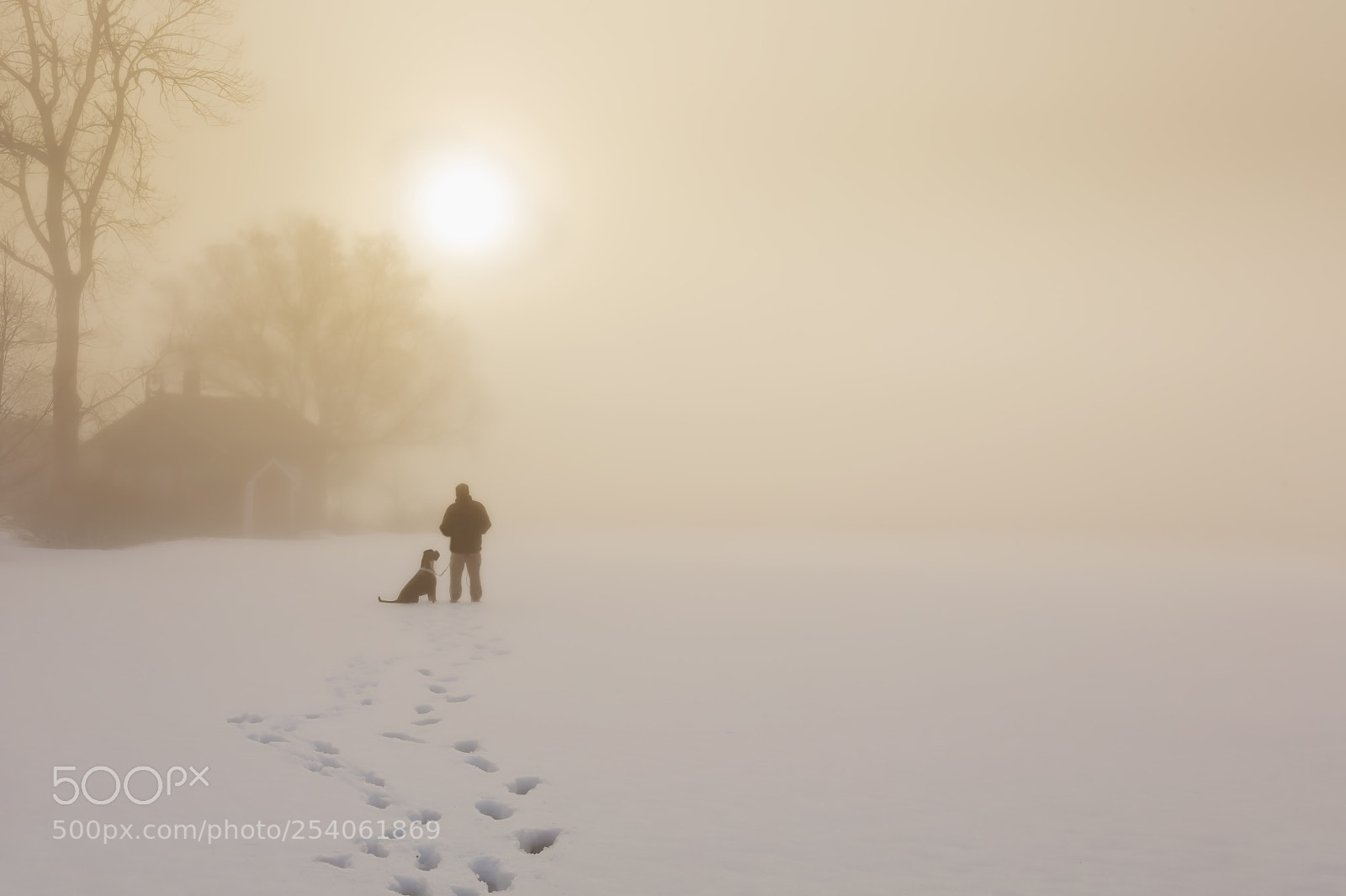 Canon EOS 5DS R sample photo. Foggy. photography