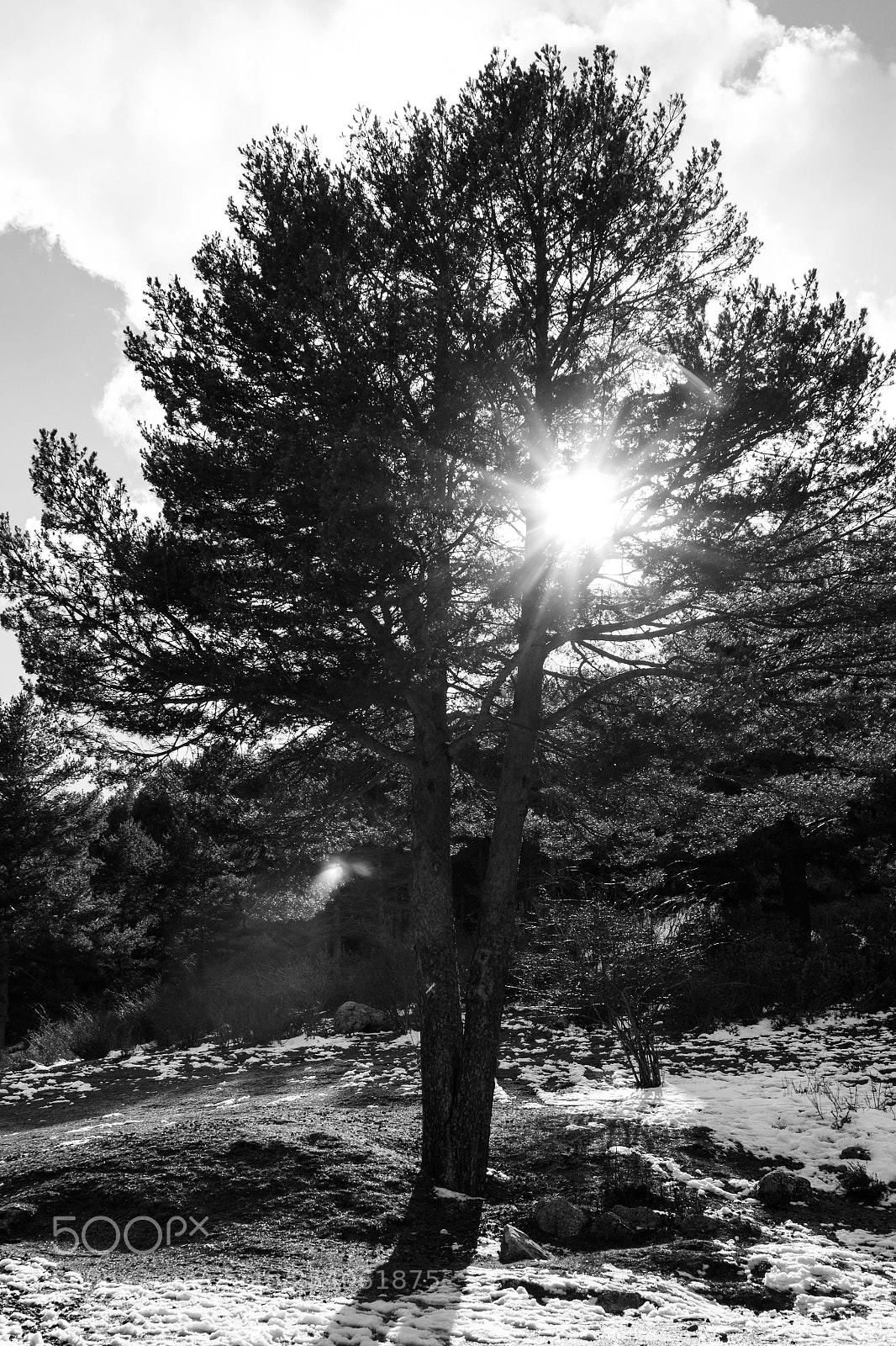 Canon EOS 600D (Rebel EOS T3i / EOS Kiss X5) sample photo. Dies irae photography