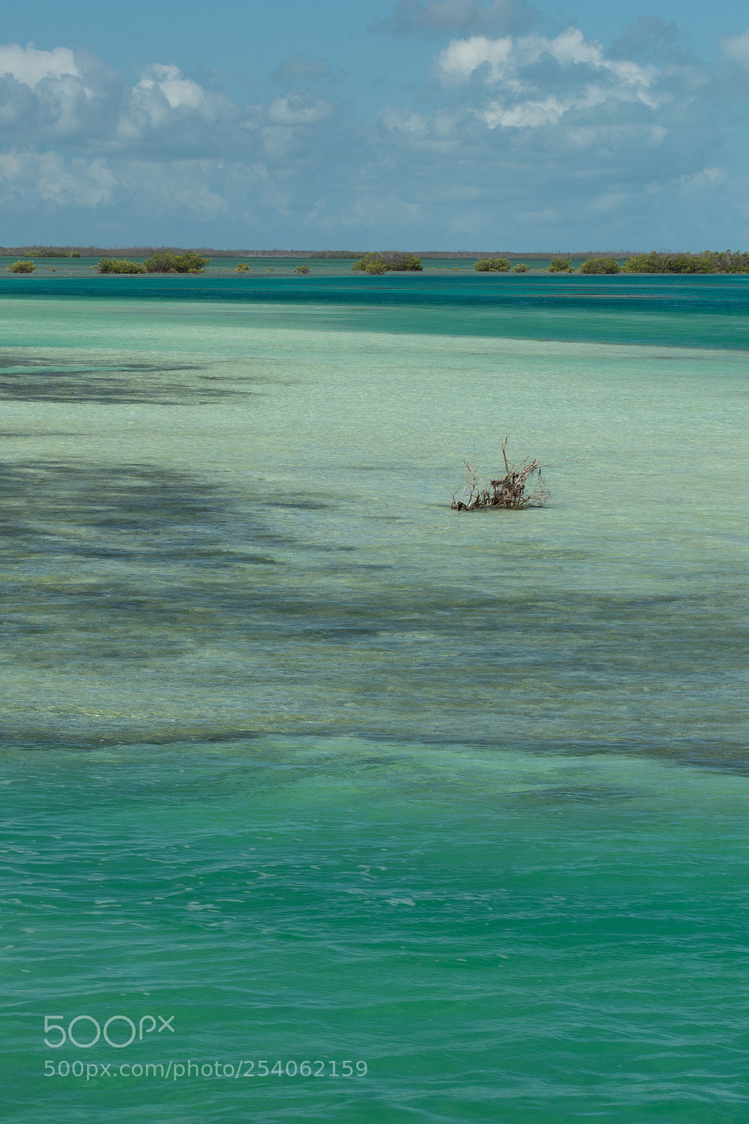 Nikon D7200 sample photo. Green and blue photography