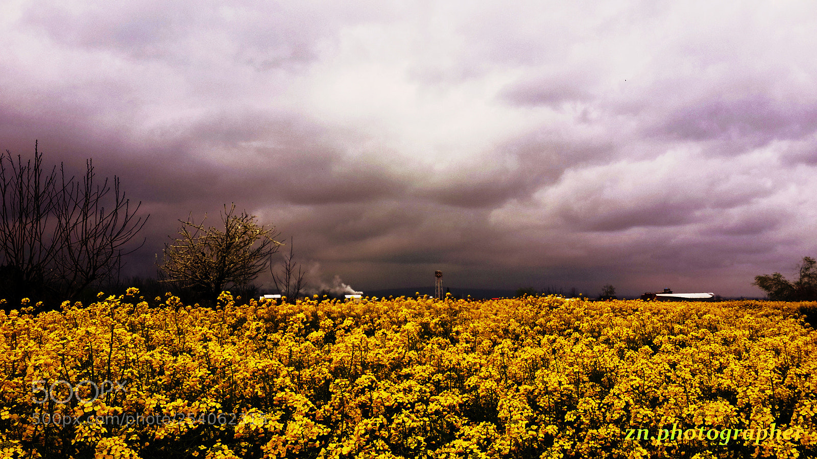 Samsung Galaxy S4 sample photo. ۲۰۱۷۰۳۲۳ ۱۲۴۱۲۴ photography