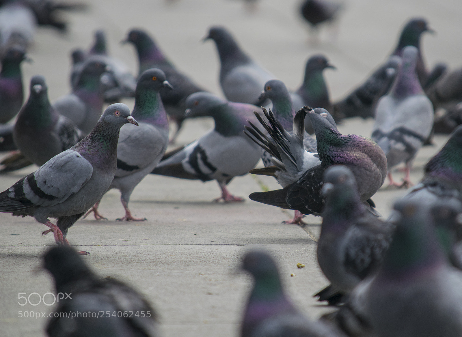 Nikon D3300 sample photo. Untitled photography