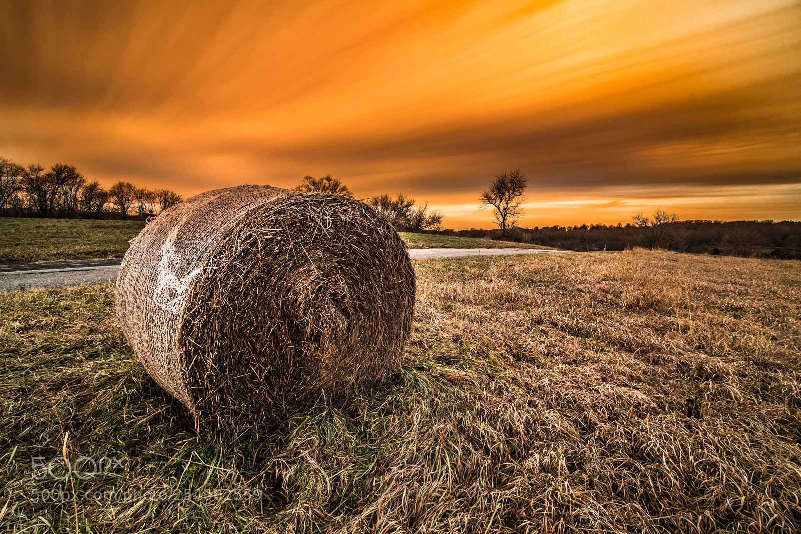 Canon EOS 80D sample photo. Hay roll in field photography