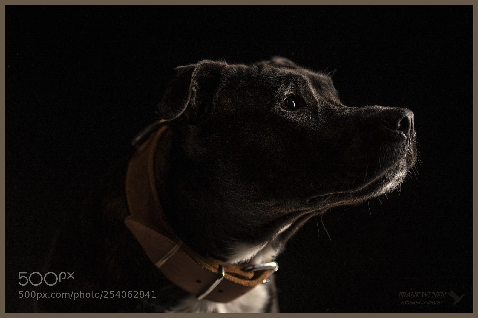 Nikon D850 sample photo. Stafford sam photography