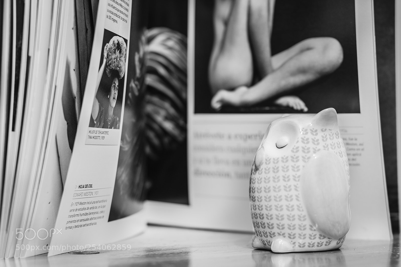 Nikon D810 sample photo. Semana del libro photography