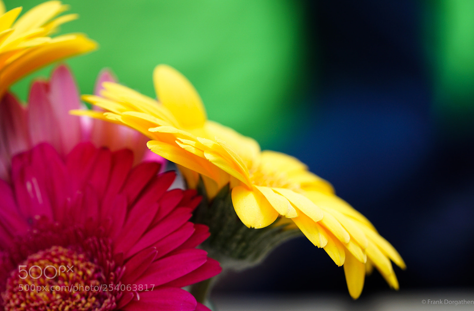 Sony a6000 sample photo. Sony 90mm g master photography