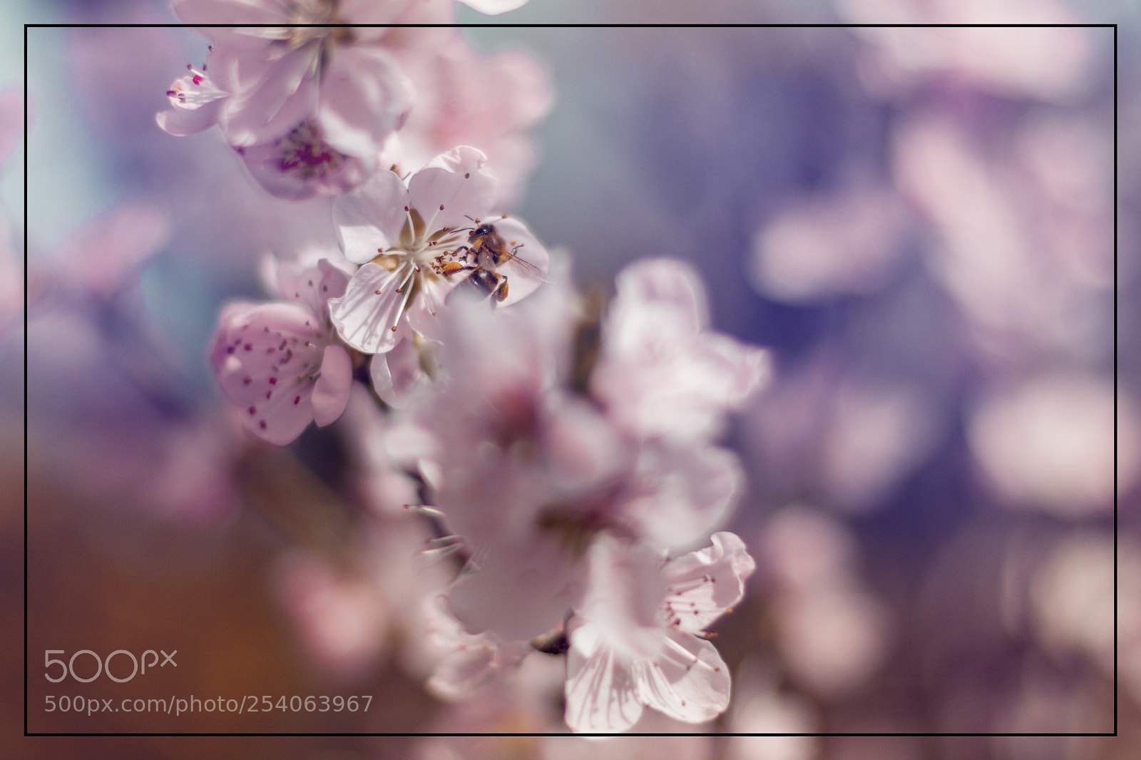 Canon EOS 7D sample photo. Img photography